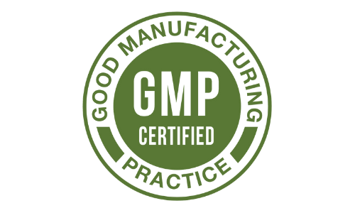 Pineal XT GMP